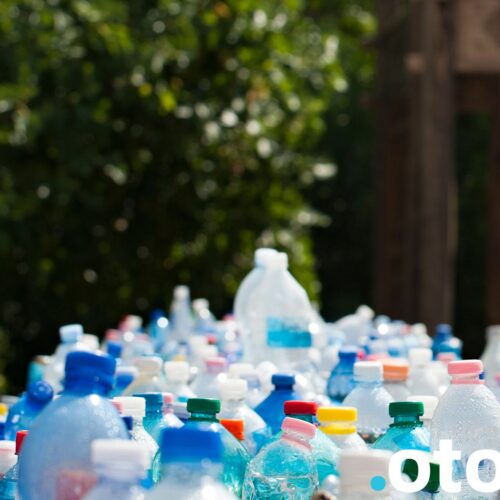 Wpływ mikroplastiku na zdrowie układu pokarmowego