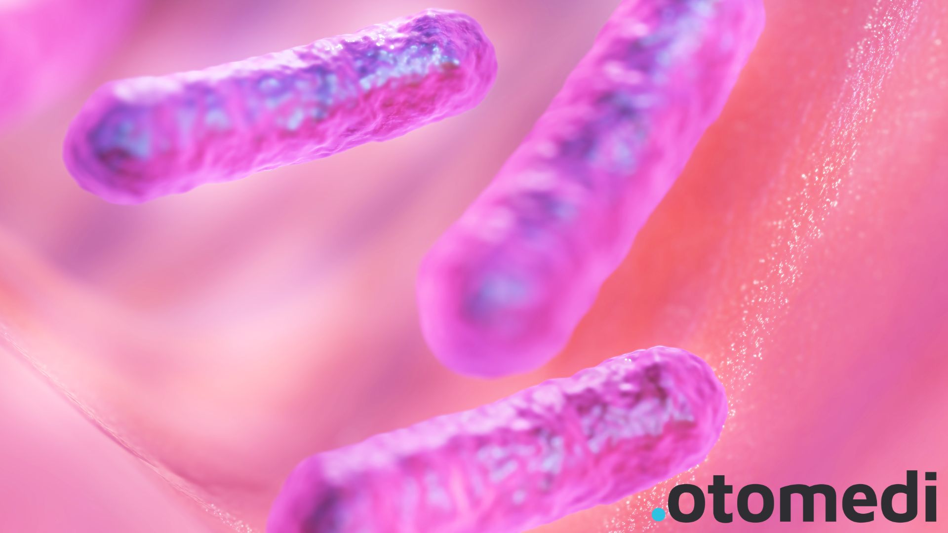 Wpływ mikrobiomu płuc na zdrowie neurologiczne