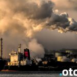 Niewidoczne toksyny środowiskowe