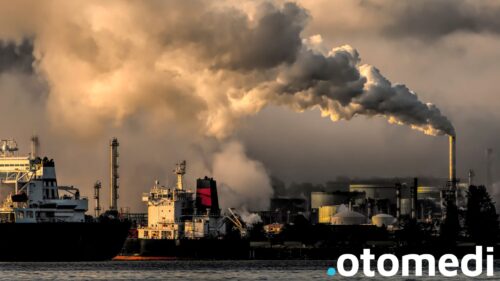 Niewidoczne toksyny środowiskowe a autoimmunologiczne choroby tarczycy