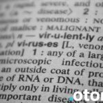 Znaczenie mikroRNA w adaptacji do stresu środowiskowego