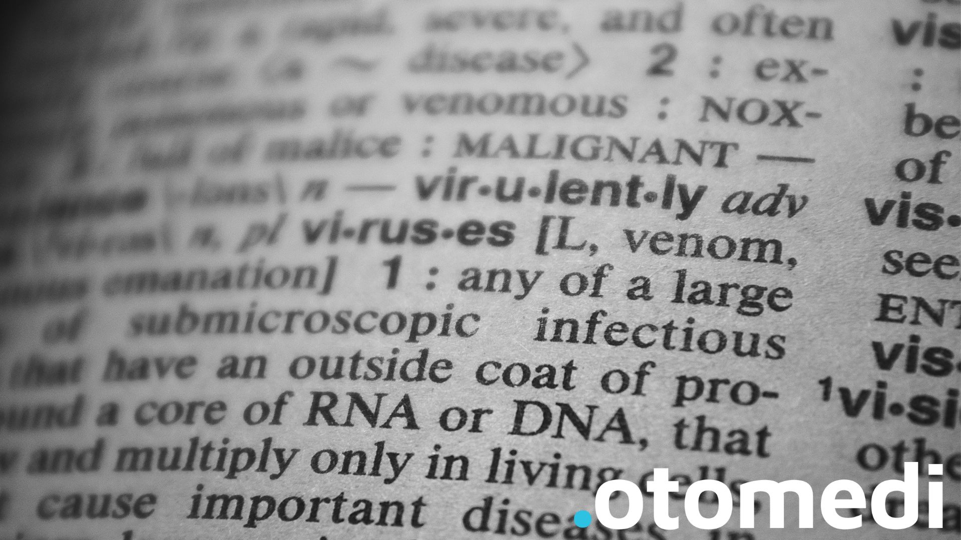 Znaczenie mikroRNA w adaptacji do stresu środowiskowego – kluczowy element regulacji odpowiedzi organizmu