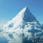 Efekty niskich temperatur na funkcjonowanie układu odpornościowego